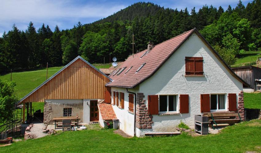 Gite Rammelstein Ribeauvillé Dış mekan fotoğraf